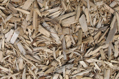 biomass boilers Udstonhead